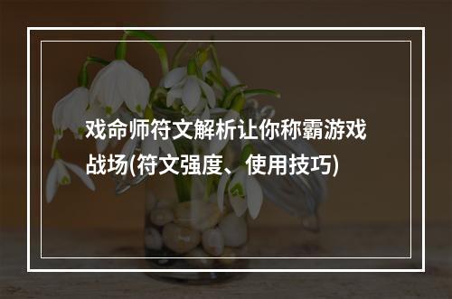 戏命师符文解析让你称霸游戏战场(符文强度、使用技巧)