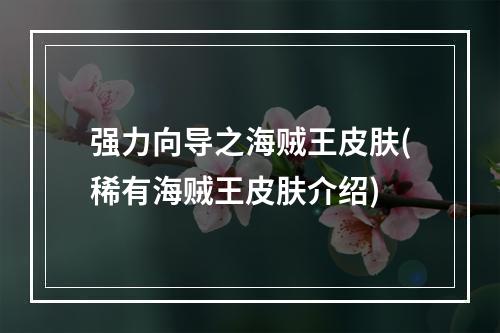 强力向导之海贼王皮肤(稀有海贼王皮肤介绍)