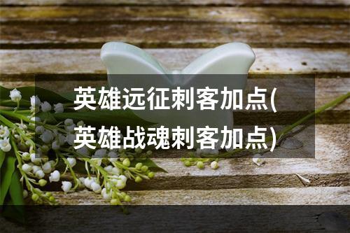 英雄远征刺客加点(英雄战魂刺客加点)