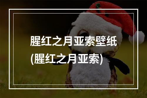 腥红之月亚索壁纸(腥红之月亚索)