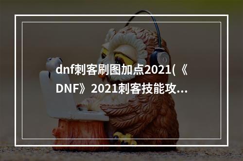 dnf刺客刷图加点2021(《DNF》2021刺客技能攻略 加点详细介绍  )