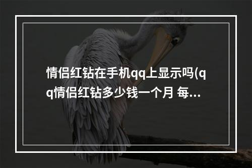 情侣红钻在手机qq上显示吗(qq情侣红钻多少钱一个月 每月需收费5QB才能享用)