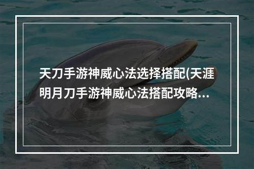 天刀手游神威心法选择搭配(天涯明月刀手游神威心法搭配攻略 2022神威心法怎么)