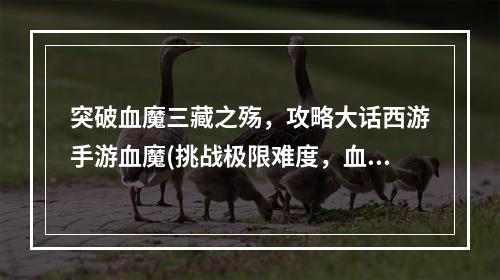 突破血魔三藏之殇，攻略大话西游手游血魔(挑战极限难度，血魔魔题大话西游手游攻略)