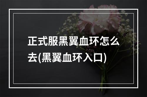 正式服黑翼血环怎么去(黑翼血环入口)