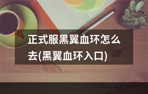 正式服黑翼血环怎么去(黑翼血环入口)