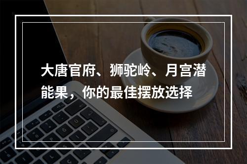 大唐官府、狮驼岭、月宫潜能果，你的最佳摆放选择