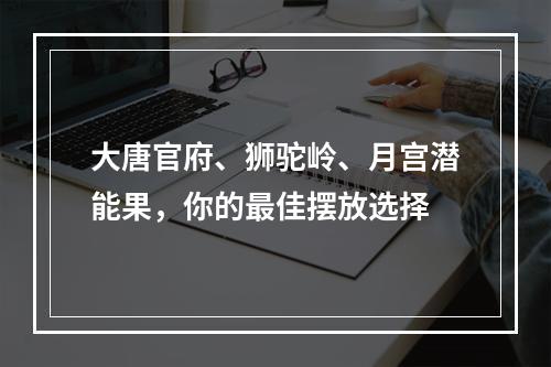 大唐官府、狮驼岭、月宫潜能果，你的最佳摆放选择