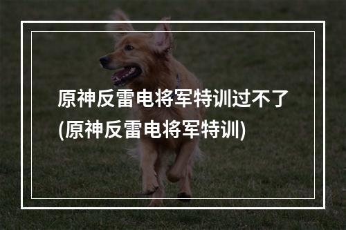 原神反雷电将军特训过不了(原神反雷电将军特训)