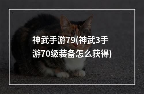 神武手游79(神武3手游70级装备怎么获得)