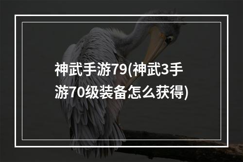 神武手游79(神武3手游70级装备怎么获得)