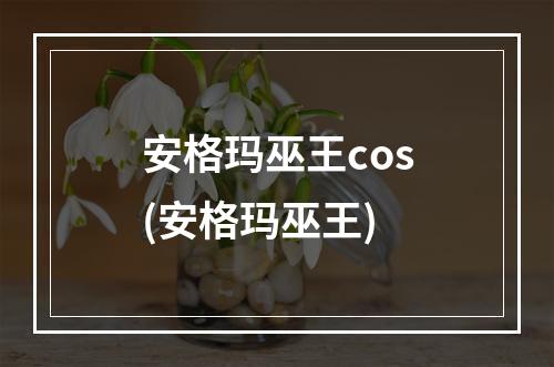 安格玛巫王cos(安格玛巫王)