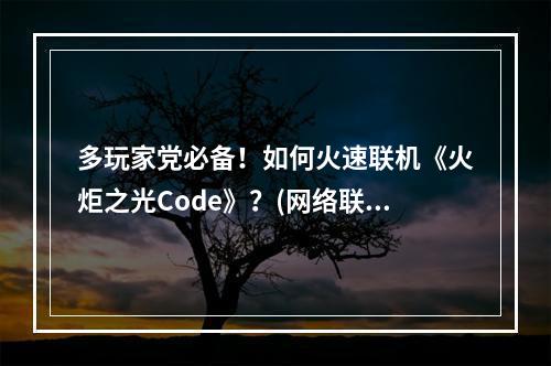 多玩家党必备！如何火速联机《火炬之光Code》？(网络联机攻略)