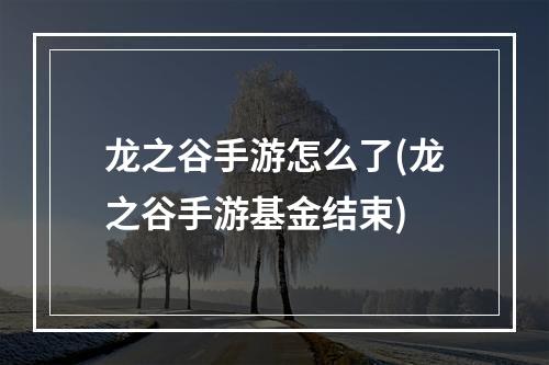 龙之谷手游怎么了(龙之谷手游基金结束)