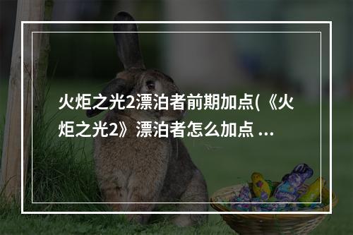 火炬之光2漂泊者前期加点(《火炬之光2》漂泊者怎么加点 新手一击300W攻略)