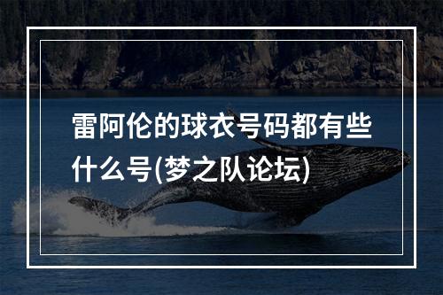 雷阿伦的球衣号码都有些什么号(梦之队论坛)