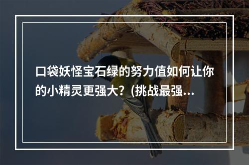 口袋妖怪宝石绿的努力值如何让你的小精灵更强大？(挑战最强大的对手努力值在口袋妖怪宝石绿的重要性)