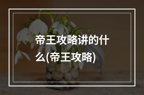 帝王攻略讲的什么(帝王攻略)