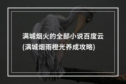 满城烟火的全部小说百度云(满城烟雨橙光养成攻略)