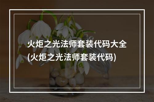 火炬之光法师套装代码大全(火炬之光法师套装代码)