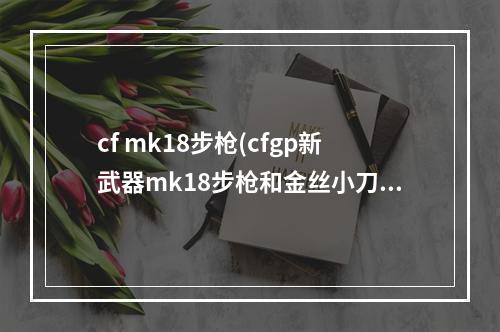 cf mk18步枪(cfgp新武器mk18步枪和金丝小刀图文介绍)