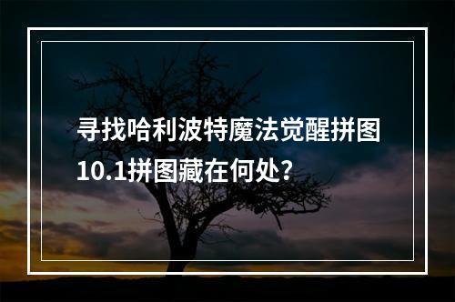 寻找哈利波特魔法觉醒拼图10.1拼图藏在何处？