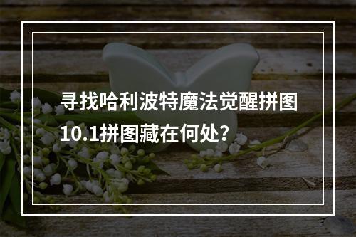 寻找哈利波特魔法觉醒拼图10.1拼图藏在何处？