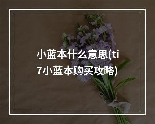 小蓝本什么意思(ti7小蓝本购买攻略)