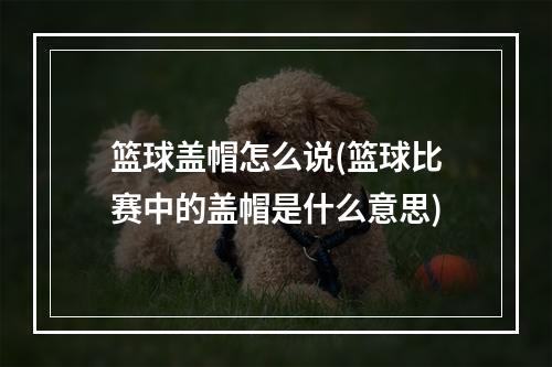 篮球盖帽怎么说(篮球比赛中的盖帽是什么意思)