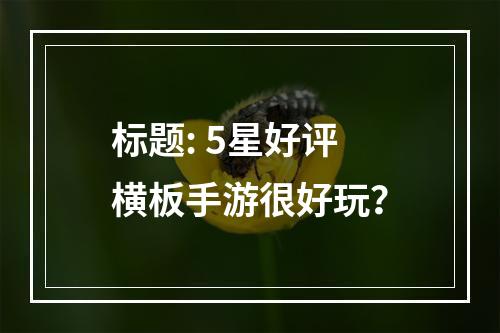 标题: 5星好评横板手游很好玩？