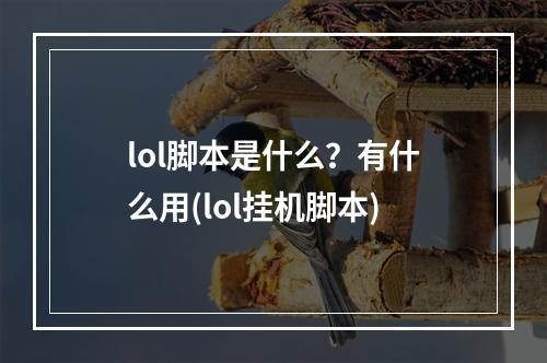 lol脚本是什么？有什么用(lol挂机脚本)