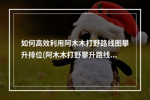 如何高效利用阿木木打野路线图攀升排位(阿木木打野攀升路线详解)(如何在阿木木打野路线图中占领优势(阿木木打野局势分析))