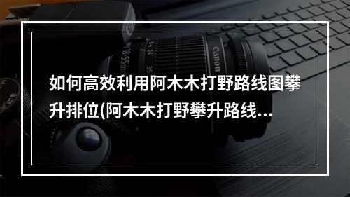 如何高效利用阿木木打野路线图攀升排位(阿木木打野攀升路线详解)(如何在阿木木打野路线图中占领优势(阿木木打野局势分析))