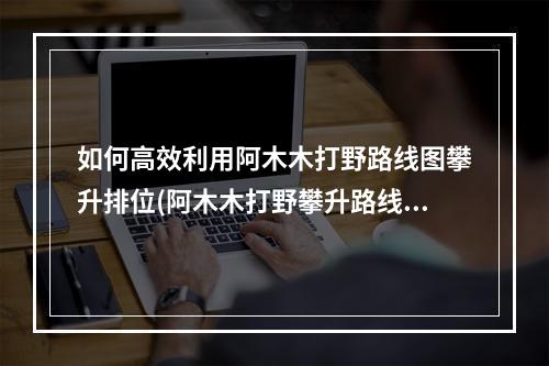 如何高效利用阿木木打野路线图攀升排位(阿木木打野攀升路线详解)(如何在阿木木打野路线图中占领优势(阿木木打野局势分析))