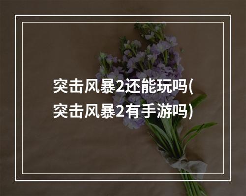 突击风暴2还能玩吗(突击风暴2有手游吗)