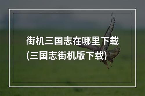 街机三国志在哪里下载(三国志街机版下载)