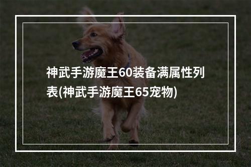 神武手游魔王60装备满属性列表(神武手游魔王65宠物)