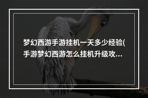 梦幻西游手游挂机一天多少经验(手游梦幻西游怎么挂机升级攻略)