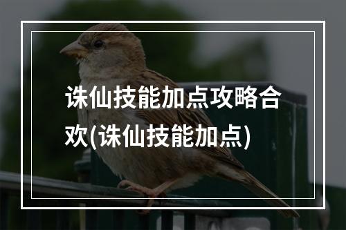 诛仙技能加点攻略合欢(诛仙技能加点)