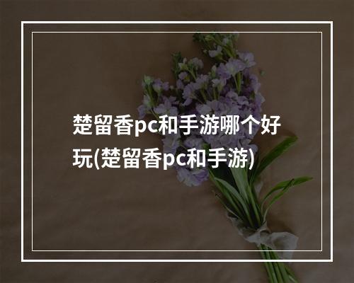 楚留香pc和手游哪个好玩(楚留香pc和手游)