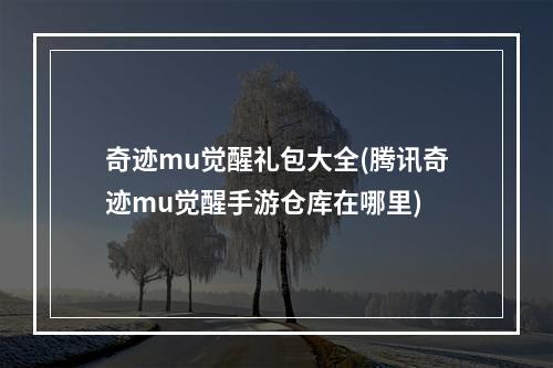 奇迹mu觉醒礼包大全(腾讯奇迹mu觉醒手游仓库在哪里)