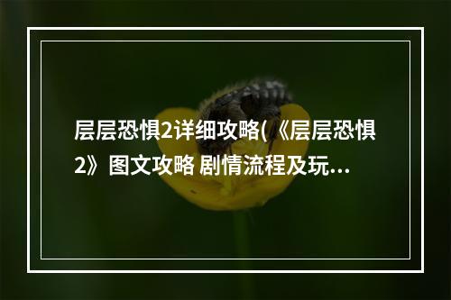 层层恐惧2详细攻略(《层层恐惧2》图文攻略 剧情流程及玩法技巧攻略按键操作)