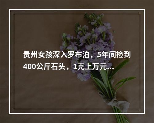 贵州女孩深入罗布泊，5年间捡到400公斤石头，1克上万元，真的吗？(罗布泊和朋友)