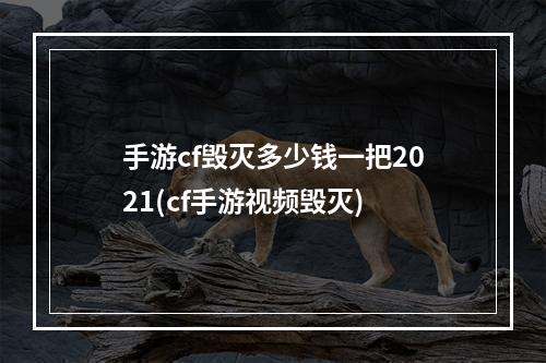 手游cf毁灭多少钱一把2021(cf手游视频毁灭)