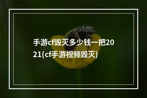 手游cf毁灭多少钱一把2021(cf手游视频毁灭)