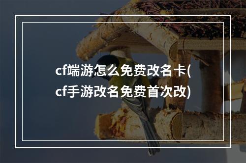 cf端游怎么免费改名卡(cf手游改名免费首次改)