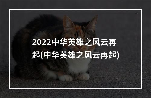 2022中华英雄之风云再起(中华英雄之风云再起)