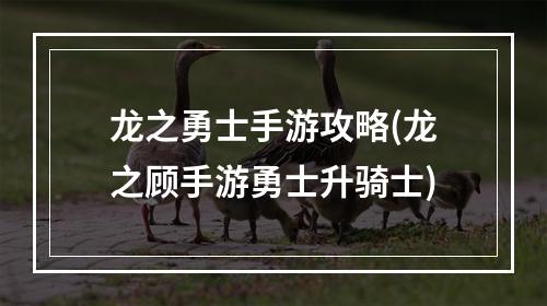 龙之勇士手游攻略(龙之顾手游勇士升骑士)