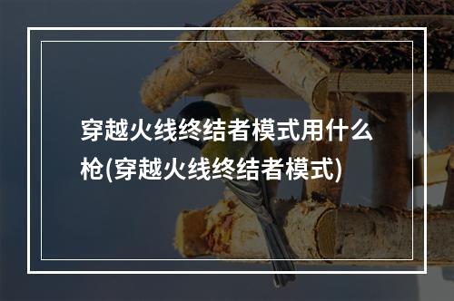 穿越火线终结者模式用什么枪(穿越火线终结者模式)