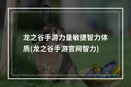 龙之谷手游力量敏捷智力体质(龙之谷手游官网智力)